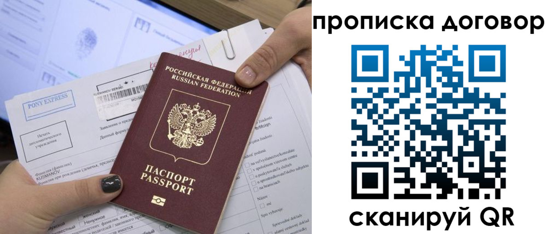 прописка гарантия в Луге
